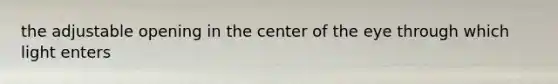 the adjustable opening in the center of the eye through which light enters
