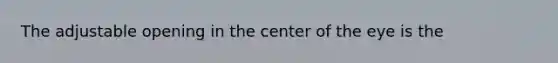 The adjustable opening in the center of the eye is the