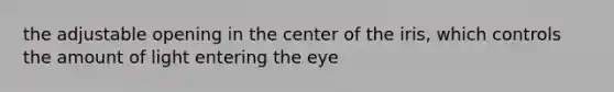 the adjustable opening in the center of the iris, which controls the amount of light entering the eye