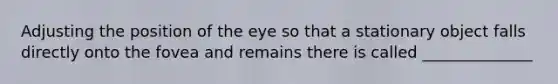 Adjusting the position of the eye so that a stationary object falls directly onto the fovea and remains there is called ______________