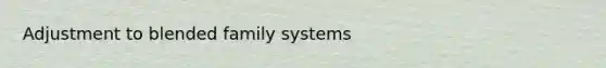 Adjustment to blended family systems