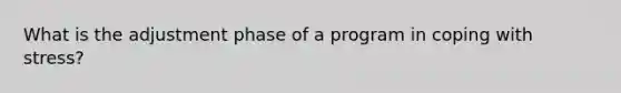 What is the adjustment phase of a program in coping with stress?