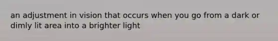 an adjustment in vision that occurs when you go from a dark or dimly lit area into a brighter light