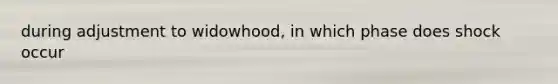 during adjustment to widowhood, in which phase does shock occur