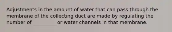 Adjustments in the amount of water that can pass through the membrane of the collecting duct are made by regulating the number of __________or water channels in that membrane.