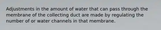 Adjustments in the amount of water that can pass through the membrane of the collecting duct are made by regulating the number of or water channels in that membrane.