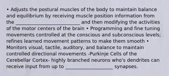 • Adjusts the postural muscles of the body to maintain balance and equilibrium by receiving muscle position information from the ___________________________ and then modifying the activities of the motor centers of the brain • Programming and fine tuning movements controlled at the conscious and subconscious levels; refines learned movement patterns to make them smooth • Monitors visual, tactile, auditory, and balance to maintain controlled directional movements -Purkinje Cells of the Cerebellar Cortex- highly branched neurons who's dendrites can receive input from up to ____________________ synapses.