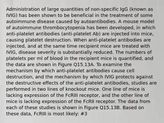 Administration of large quantities of non-specific IgG (known as IVIG) has been shown to be beneficial in the treatment of some autoimmune disease caused by autoantibodies. A mouse model of autoimmune thrombocytopenia has been developed, in which anti-platelet antibodies (anti-platelet Ab) are injected into mice, causing platelet destruction. When anti-platelet antibodies are injected, and at the same time recipient mice are treated with IVIG, disease severity is substantially reduced. The numbers of platelets per ml of blood in the recipient mice is quantified, and the data are shown in Figure Q15.13A. To examine the mechanism by which anti-platelet antibodies cause cell destruction, and the mechanism by which IVIG protects against the destructive effects of the anti-platelet antibodies, studies are performed in two lines of knockout mice. One line of mice is lacking expression of the FcRIII receptor, and the other line of mice is lacking expression of the FcRII receptor. The data from each of these studies is shown in Figure Q15.13B. Based on these data, FcRIII is most likely: #3