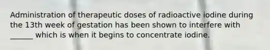 Administration of therapeutic doses of radioactive iodine during the 13th week of gestation has been shown to interfere with ______ which is when it begins to concentrate iodine.