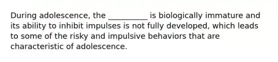 During adolescence, the __________ is biologically immature and its ability to inhibit impulses is not fully developed, which leads to some of the risky and impulsive behaviors that are characteristic of adolescence.