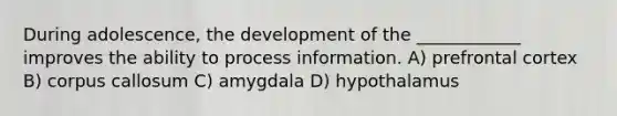 During adolescence, the development of the ____________ improves the ability to process information. A) prefrontal cortex B) corpus callosum C) amygdala D) hypothalamus