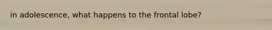 in adolescence, what happens to the frontal lobe?