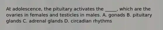 At adolescence, the pituitary activates the _____, which are the ovaries in females and testicles in males. A. gonads B. pituitary glands C. adrenal glands D. circadian rhythms