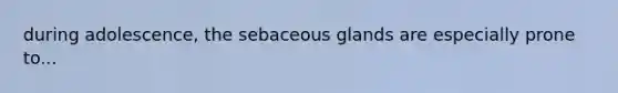 during adolescence, the sebaceous glands are especially prone to...