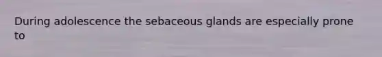 During adolescence the sebaceous glands are especially prone to