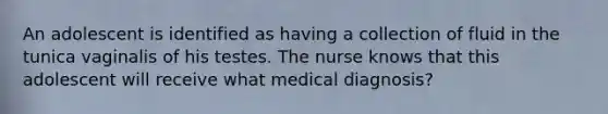 An adolescent is identified as having a collection of fluid in the tunica vaginalis of his testes. The nurse knows that this adolescent will receive what medical diagnosis?