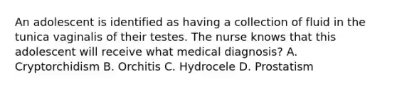 An adolescent is identified as having a collection of fluid in the tunica vaginalis of their testes. The nurse knows that this adolescent will receive what medical diagnosis? A. Cryptorchidism B. Orchitis C. Hydrocele D. Prostatism