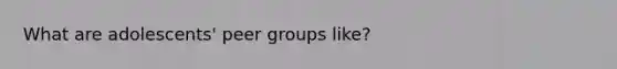 What are adolescents' peer groups like?