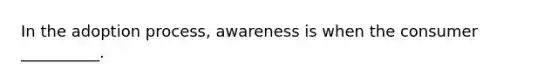 In the adoption process, awareness is when the consumer __________.