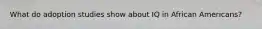 What do adoption studies show about IQ in African Americans?