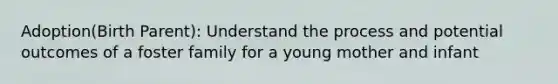Adoption(Birth Parent): Understand the process and potential outcomes of a foster family for a young mother and infant