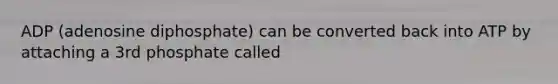 ADP (adenosine diphosphate) can be converted back into ATP by attaching a 3rd phosphate called