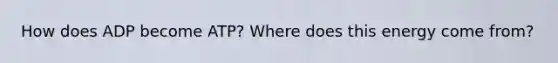 How does ADP become ATP? Where does this energy come from?