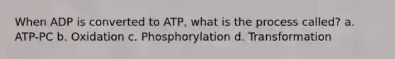 When ADP is converted to ATP, what is the process called? a. ATP-PC b. Oxidation c. Phosphorylation d. Transformation