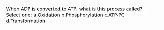 When ADP is converted to ATP, what is this process called? Select one: a.Oxidation b.Phosphorylation c.ATP-PC d.Transformation