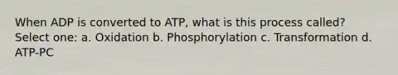 When ADP is converted to ATP, what is this process called? Select one: a. Oxidation b. Phosphorylation c. Transformation d. ATP-PC