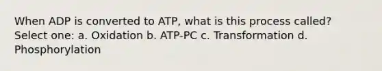 When ADP is converted to ATP, what is this process called? Select one: a. Oxidation b. ATP-PC c. Transformation d. Phosphorylation