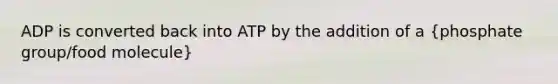 ADP is converted back into ATP by the addition of a (phosphate group/food molecule)