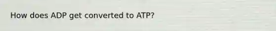 How does ADP get converted to ATP?