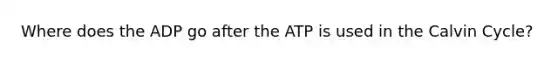 Where does the ADP go after the ATP is used in the Calvin Cycle?