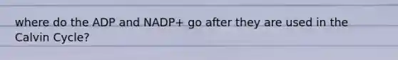where do the ADP and NADP+ go after they are used in the Calvin Cycle?