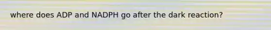 where does ADP and NADPH go after the dark reaction?