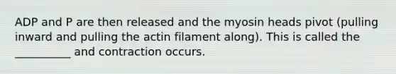 ADP and P are then released and the myosin heads pivot (pulling inward and pulling the actin filament along). This is called the __________ and contraction occurs.