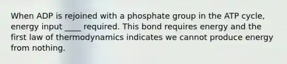 When ADP is rejoined with a phosphate group in the ATP cycle, energy input ____ required. This bond requires energy and the first law of thermodynamics indicates we cannot produce energy from nothing.