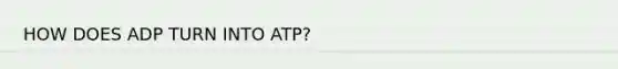 HOW DOES ADP TURN INTO ATP?