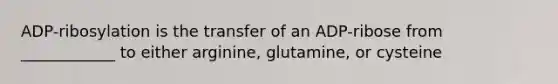 ADP-ribosylation is the transfer of an ADP-ribose from ____________ to either arginine, glutamine, or cysteine