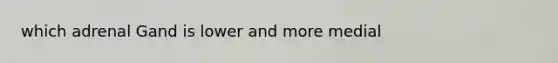 which adrenal Gand is lower and more medial