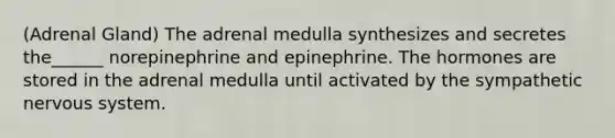 (Adrenal Gland) The adrenal medulla synthesizes and secretes the______ norepinephrine and epinephrine. The hormones are stored in the adrenal medulla until activated by the sympathetic nervous system.