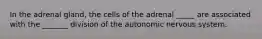 In the adrenal gland, the cells of the adrenal _____ are associated with the _______ division of the autonomic nervous system.