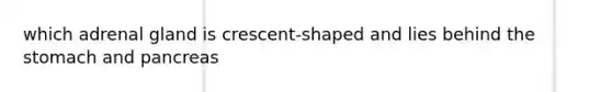 which adrenal gland is crescent-shaped and lies behind the stomach and pancreas