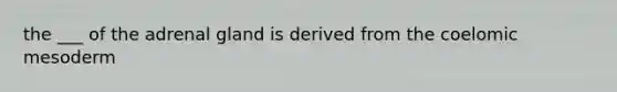 the ___ of the adrenal gland is derived from the coelomic mesoderm