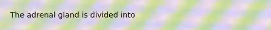 The adrenal gland is divided into