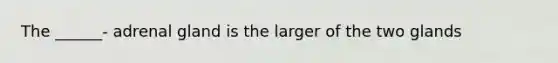 The ______- adrenal gland is the larger of the two glands