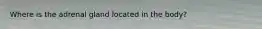 Where is the adrenal gland located in the body?
