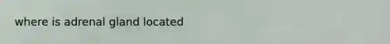 where is adrenal gland located