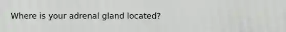 Where is your adrenal gland located?